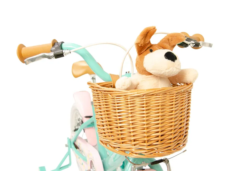 Raleigh Molli 16 Kids Bike Aqua-3